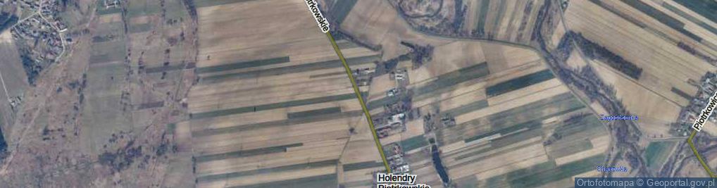 Zdjęcie satelitarne Holendry Piotrkowskie ul.